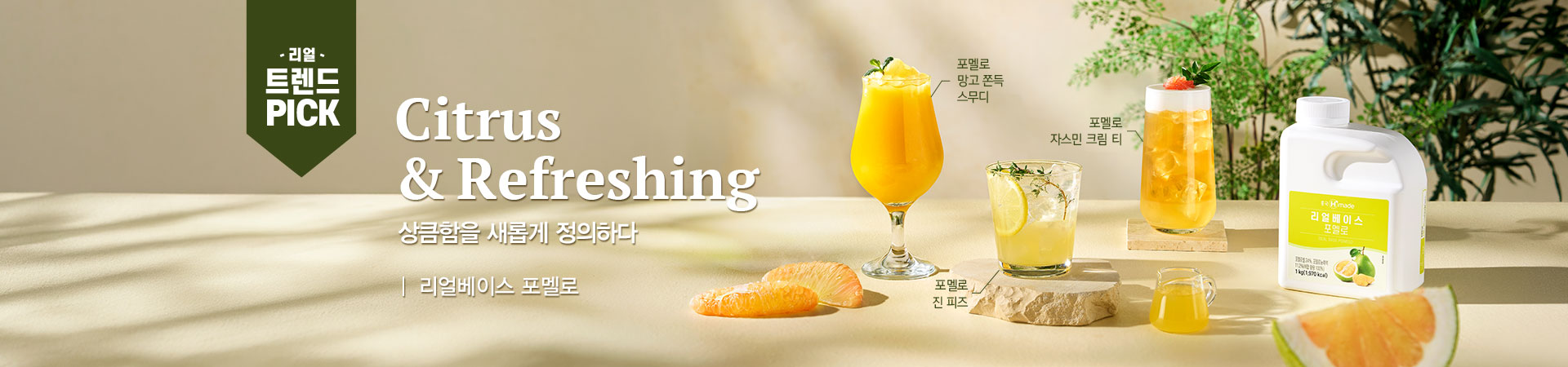 5�� Ʈ������ �����̽� �����